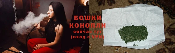 шишки Балахна