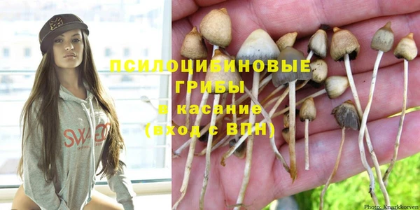 шишки Балахна