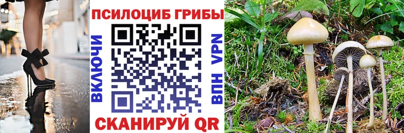Галлюциногенные грибы прущие грибы  Купить где  Называевск 
